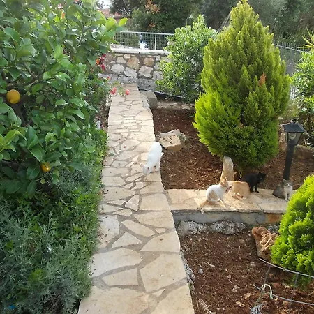 Sarakinos Appartement *